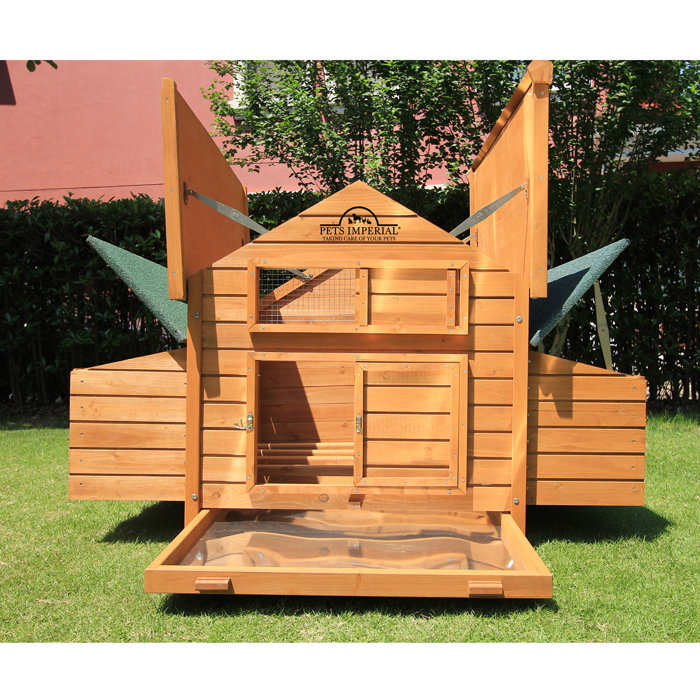 Tucker Murphy Pet™ Pets Imperial® Double Savoy Chicken Coop with 2 Nest